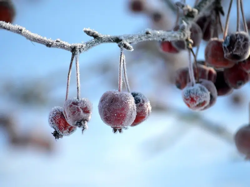 针对老公的冷bl，我该怎么办？