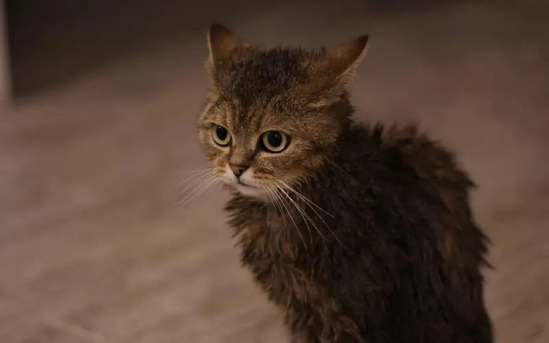 男生喜欢我但我不喜欢他怎么办