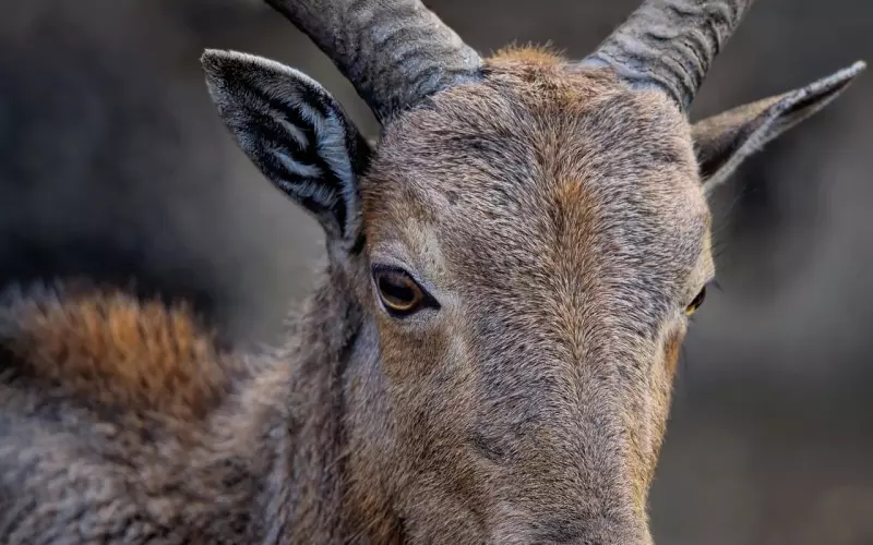 女生总在感情里受伤害，又离不开对方怎么办