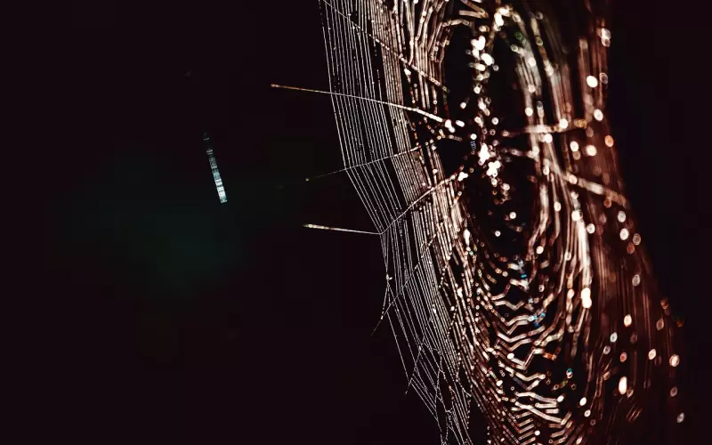 女生不回信息怎么办？教你这3个方法，让她主动联系你！