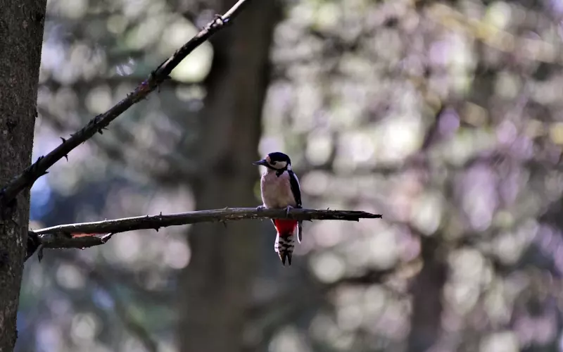 偶然间发现老公出轨了我该怎么办