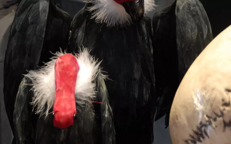 挽回时畏手畏脚，生怕做错事，怎么办？