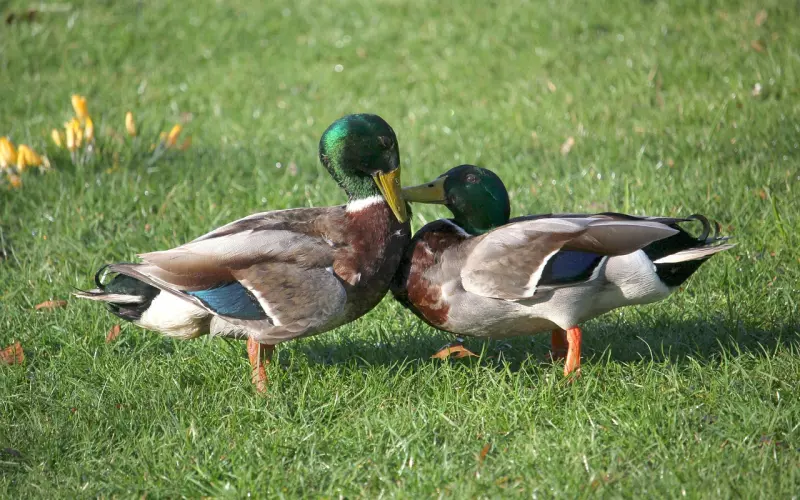 跟男友吵架后分手怎么办