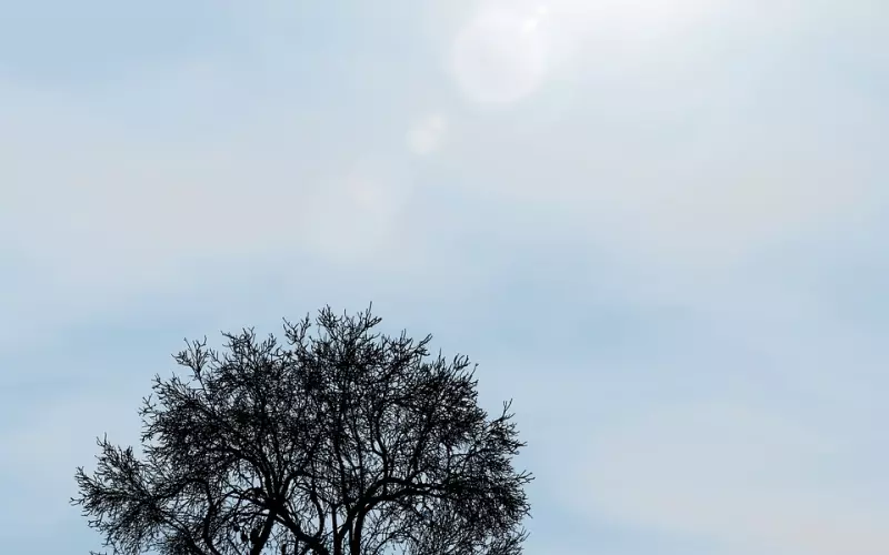 和男友在一起没有恋爱的感觉怎么办