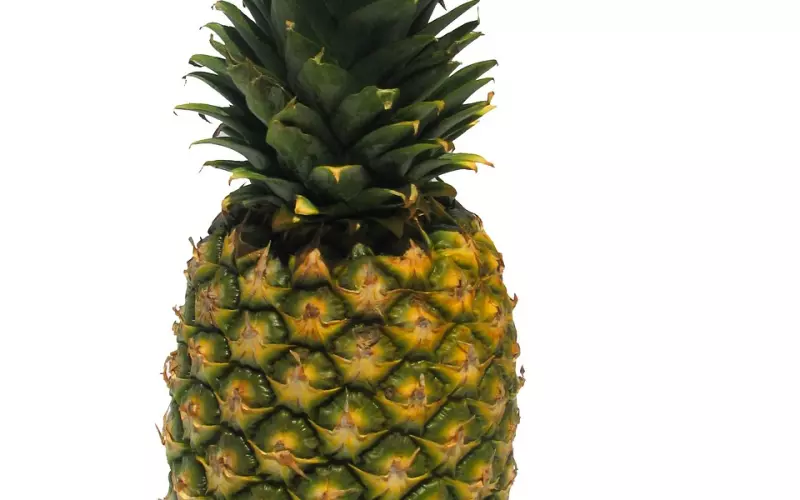 得不到与前妻相当的待遇怎么办？