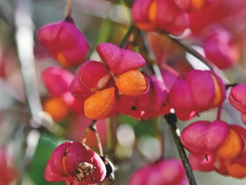 失恋了心里郁闷怎么办？简单三招轻松应对