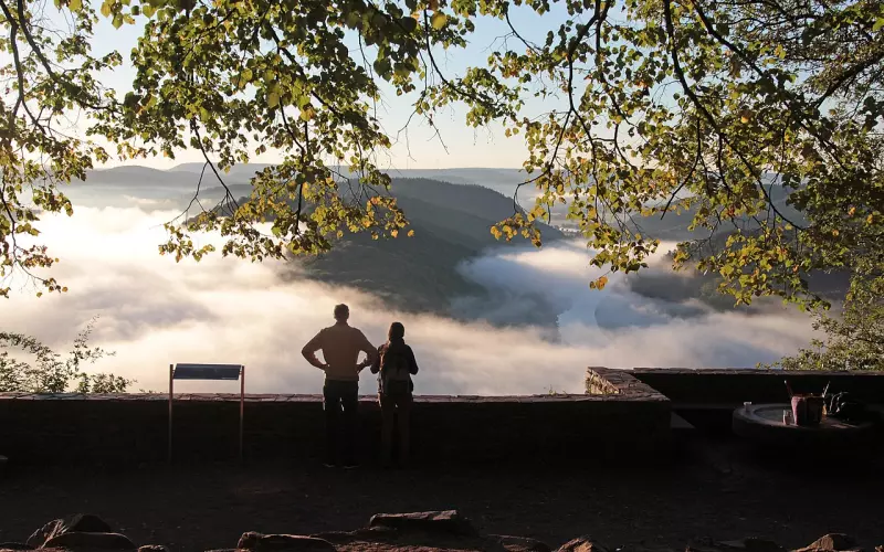 失恋了心情低落怎么办？几招教你走出情绪困境