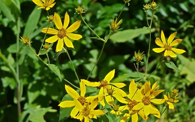 挽回爱情之假性复合，复合后很快又会被分手怎么办？