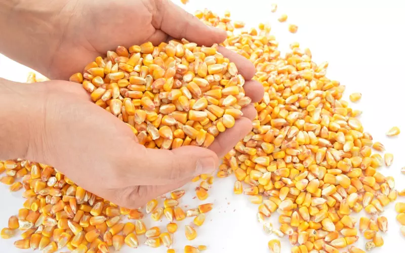 挽回前男友，但他不理我怎么办？