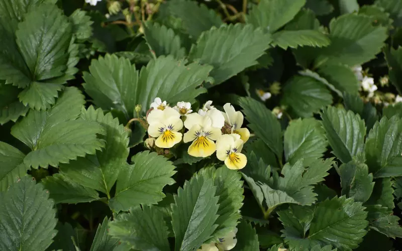 伤害了别人无法挽回怎么办