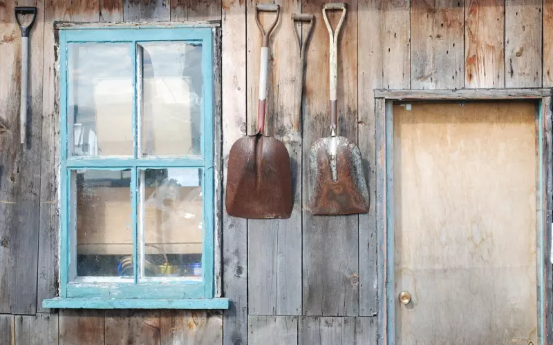 老梦见前男友我该怎么办