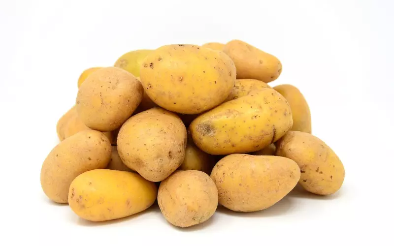 喜欢同性怎么办？