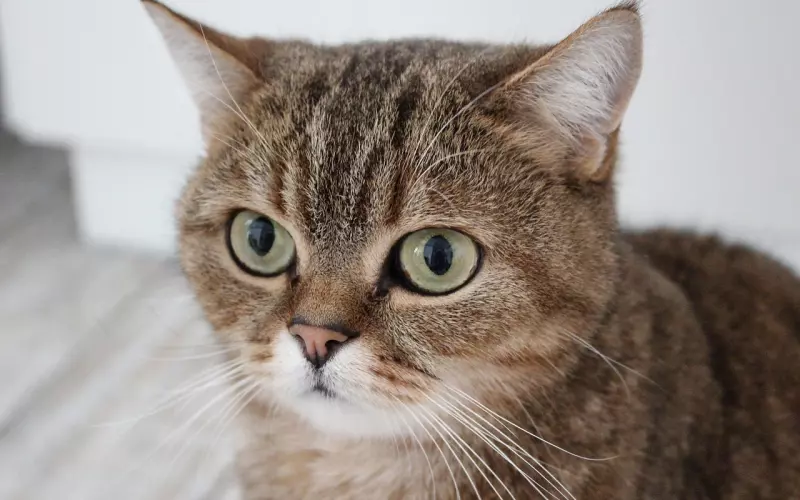 喜欢一个男生可他不喜欢我怎么办