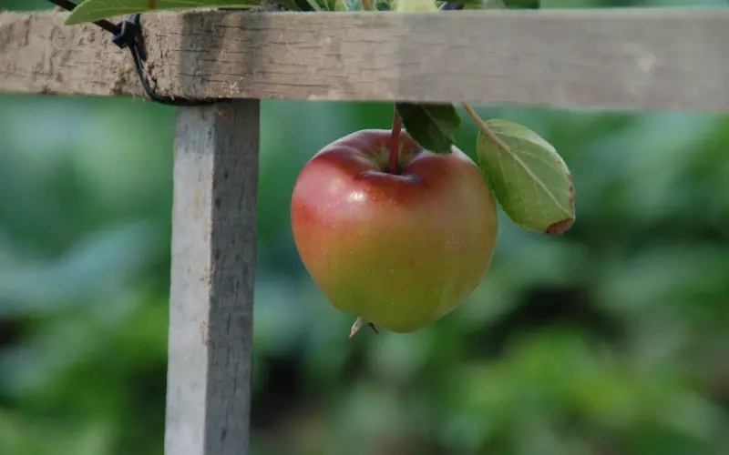 经常怀疑自己老公出轨怎么办？这6点方法可以帮到你！