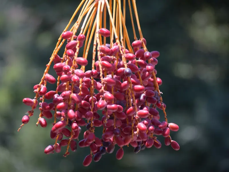 跟男朋友分手后悔了怎么办