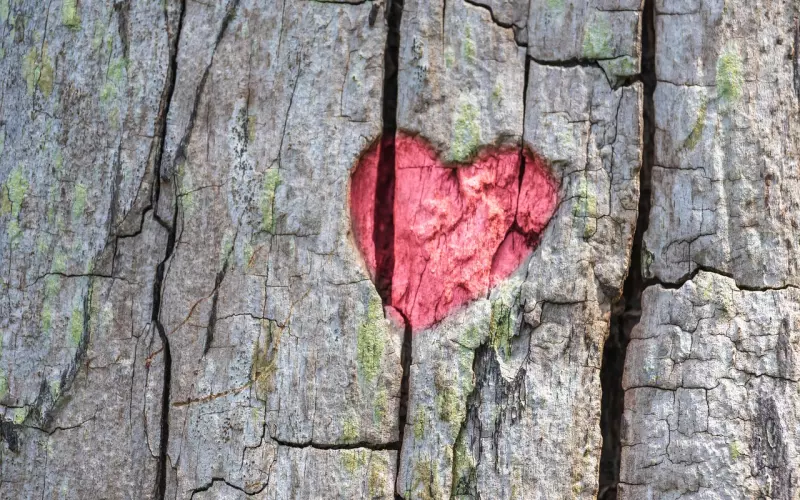 分手后还爱着他该怎办？如何才能成功挽回他的心？