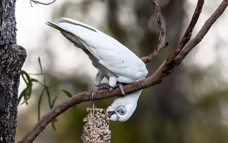 怀疑老婆出轨，怎么办，如何挽回