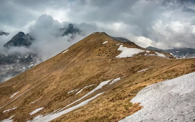 被爱的人拉黑了我想挽回怎么办