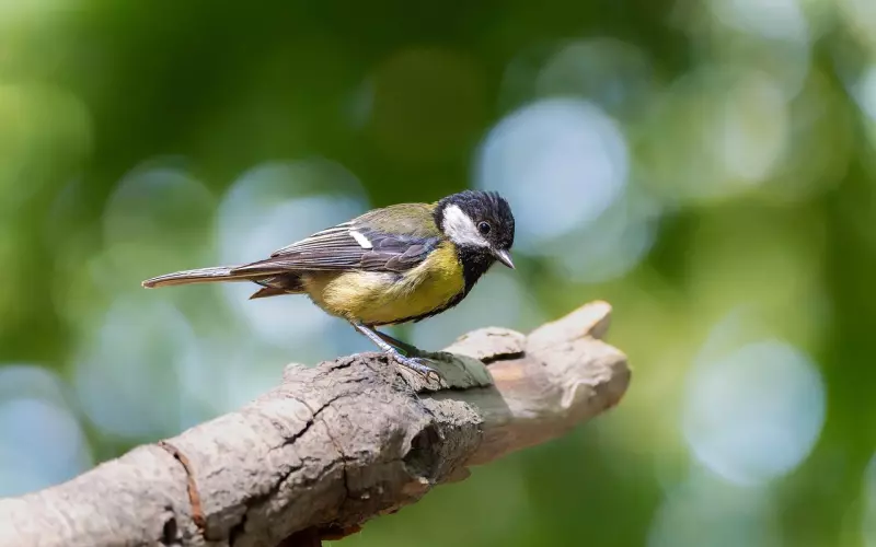 想找前任复合怎么办？试试这4个技巧！