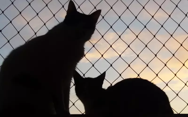 想分手却又舍不得怎么办？该放弃还是挽回？