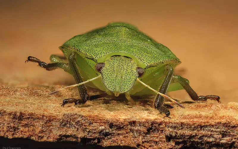 和男友分手后想要挽回该怎么办