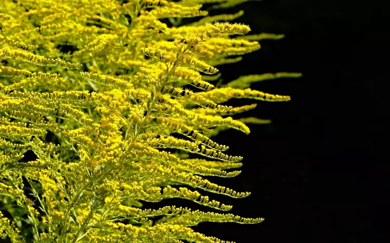 和男友分手后想复合该怎么做