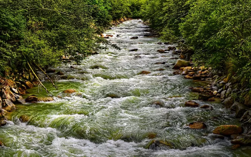 分手之后想快点复合怎么办