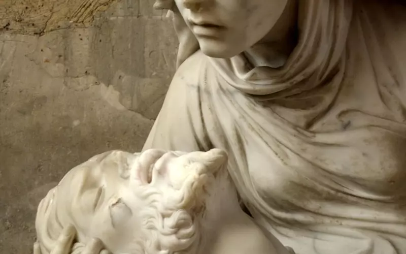 我失恋了很痛苦怎么办，三招教你快速摆脱痛苦