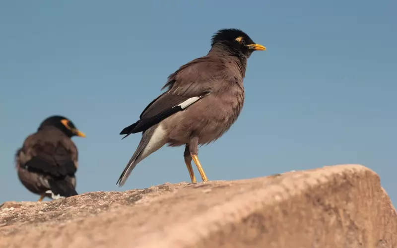 和现任男友在一起却总是想起前任怎么办