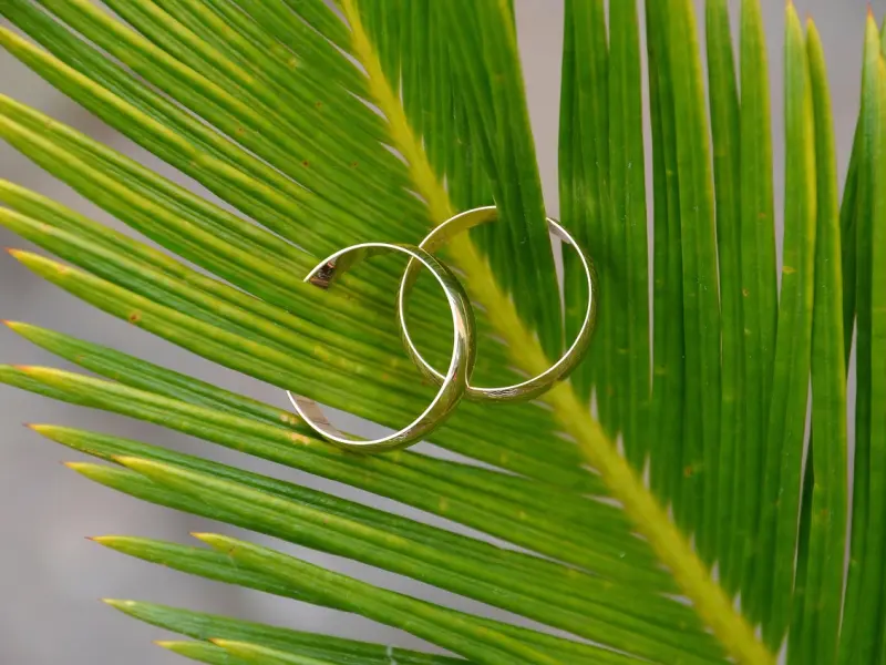 男友说我们不合适该怎么办