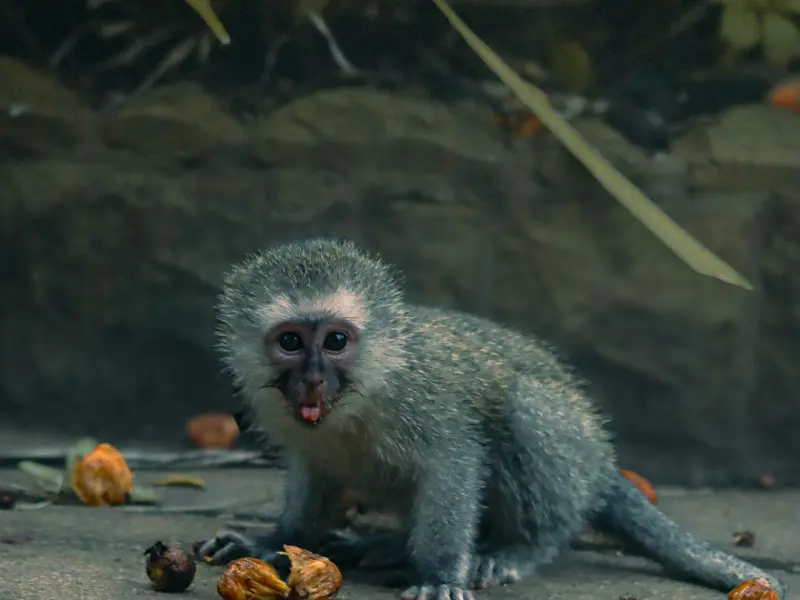 因为我太作男朋友和我分手了我该怎么办？