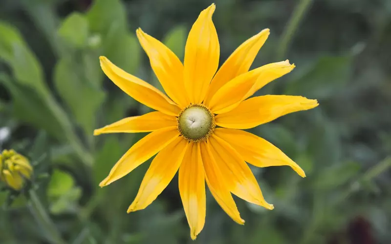 男朋友有红颜知己该怎么办？