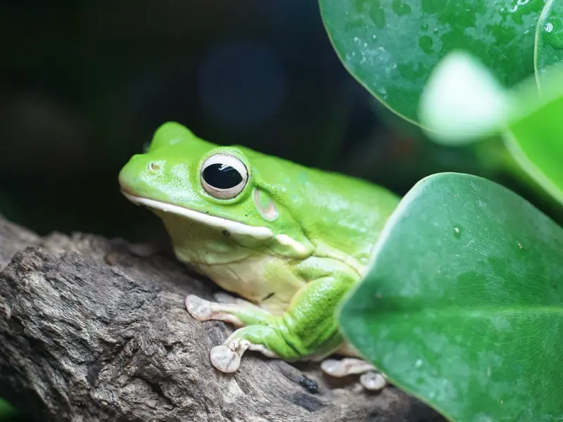男友冷落了怎么办？教你几招缓和困境