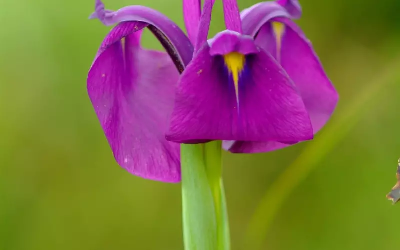 男友每次说的分手又挽回我，该如何做？