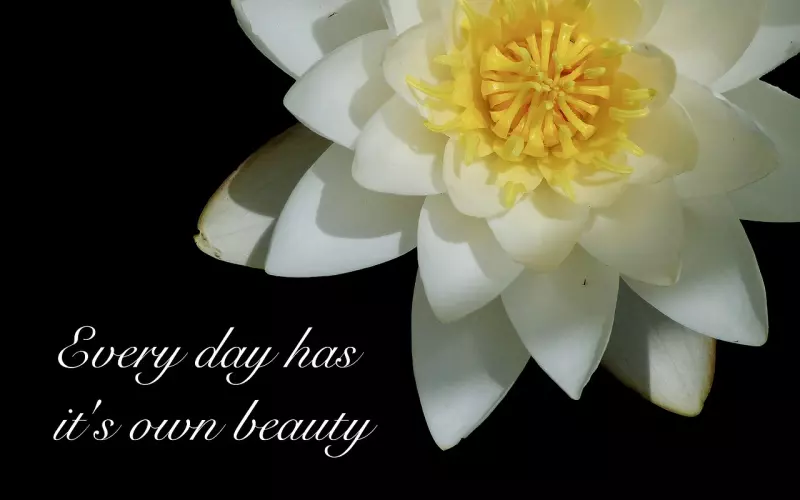 挽回男友时男友说以后再说怎么办？