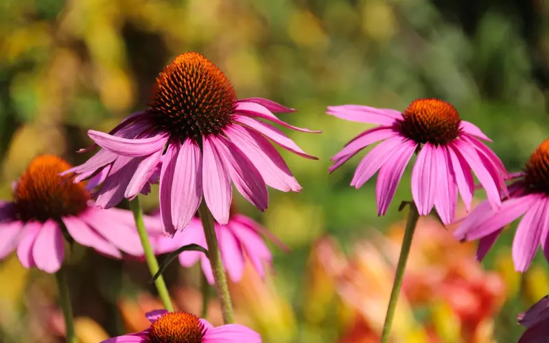 复合后男友态度很冷淡怎么办？