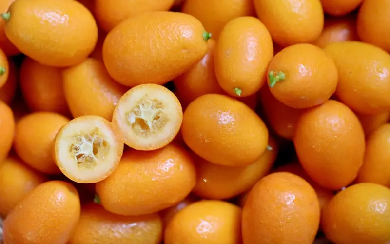 男朋友不带我见家长 说见了会分手怎么办