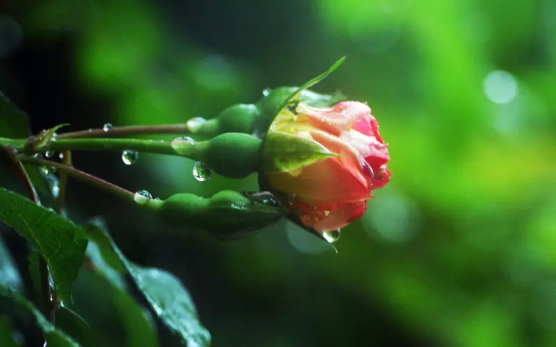 男友变心了不愿意回来怎么办