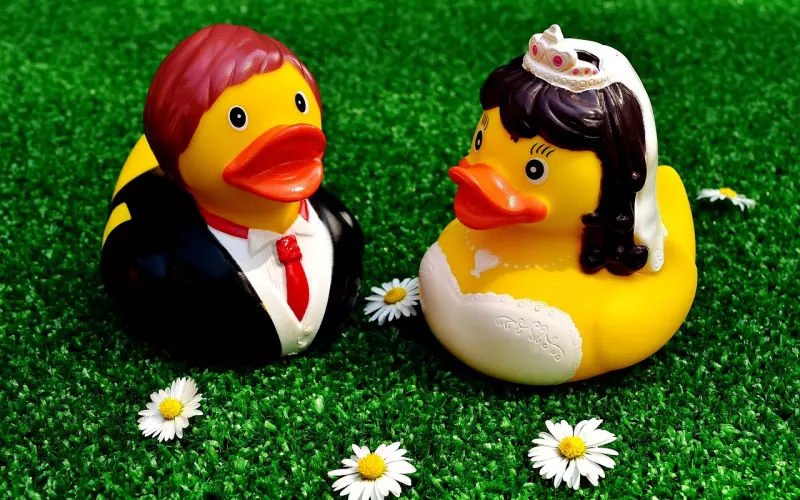 男友恋爱期间总谈钱和前女友怎么办