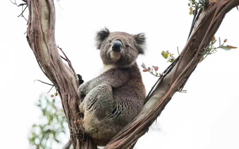 男友很上进但父母逼着他考公务员怎么办