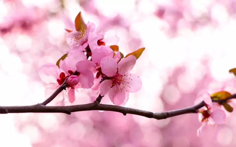 男朋友跟其他女生玩暧昧怎么办