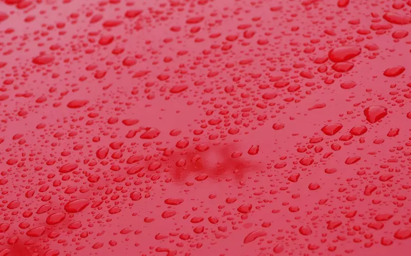 男朋友答应我删了前任，又偷偷加回来怎么办