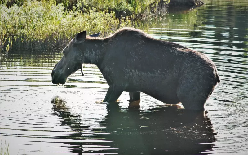 男友觉得我太物质要分手怎么办