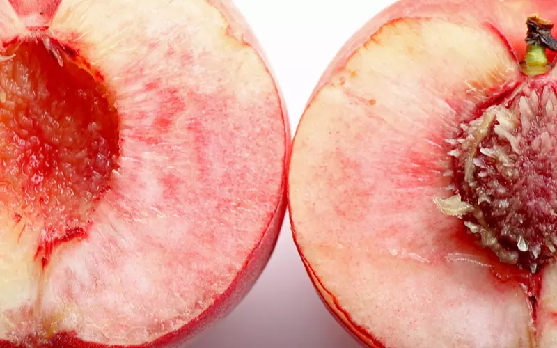 男友突然对我说分手还不肯复合怎么办