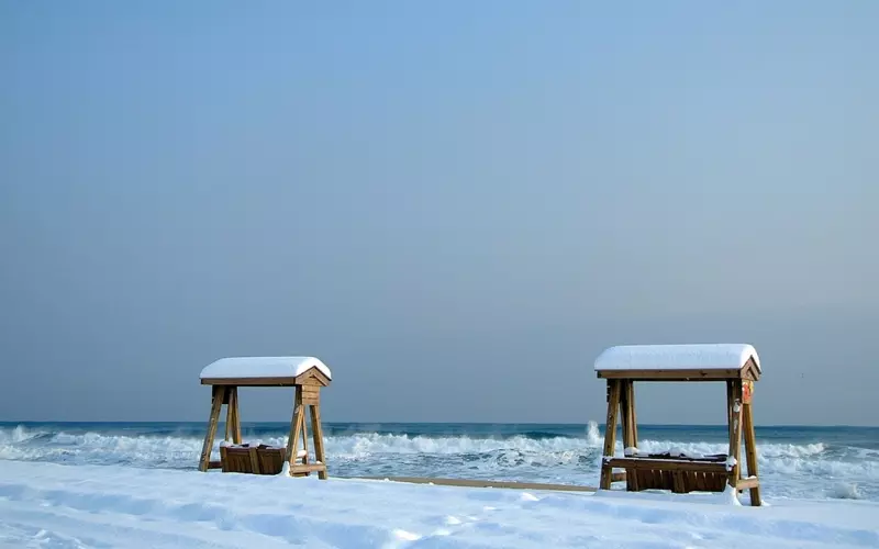 现任的前任回来了，该怎么办？