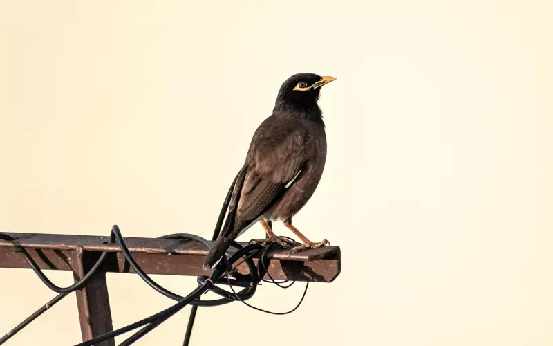 现任结婚买房不写我名字怎么办