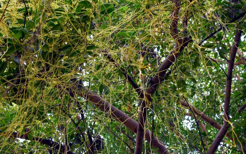 分手后前男友纠缠不放怎么办？