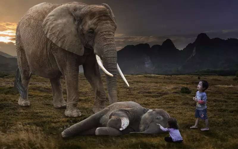 朋友失恋了怎么办，我该怎么帮助她摆脱痛苦？