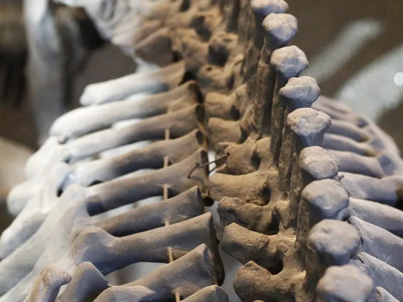 女友冷落了怎么办？教你几招缓和困境