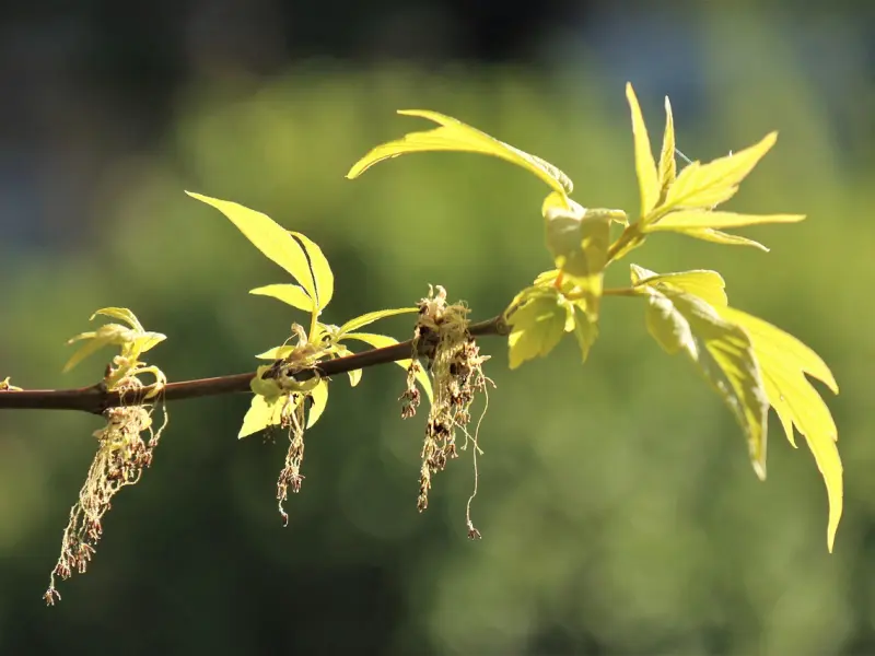 女朋友最近对我冷淡怎么办
